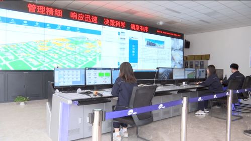 濱海區 以信息技術開發為引擎，筑牢企業安全管理新防線