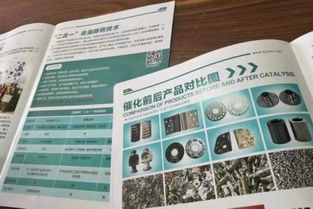 環保專利技術轉讓之困 危化成分配方爭議與近百廠家投產失敗引發的思考